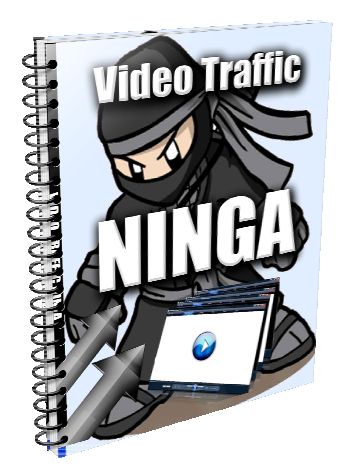 video-traffic-ninja