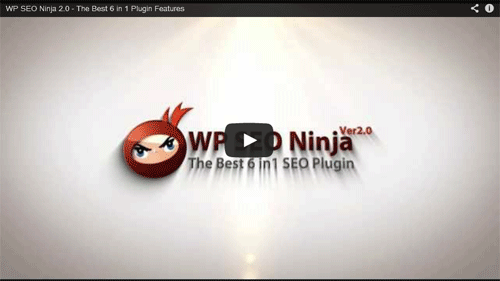 WP-SEO-Ninja-2-Video