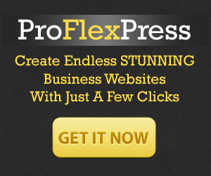 Pro Flex Press Business Theme 300x250